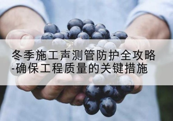 庆元冬季施工声测管有哪些防护要点？-冬季施工声测管防护全攻略-确保工程质量的关键措施